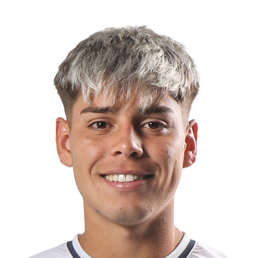 FC 25 Benjamin Dominguez Face