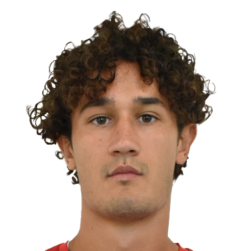 FC 25 Luca Belardinelli Face