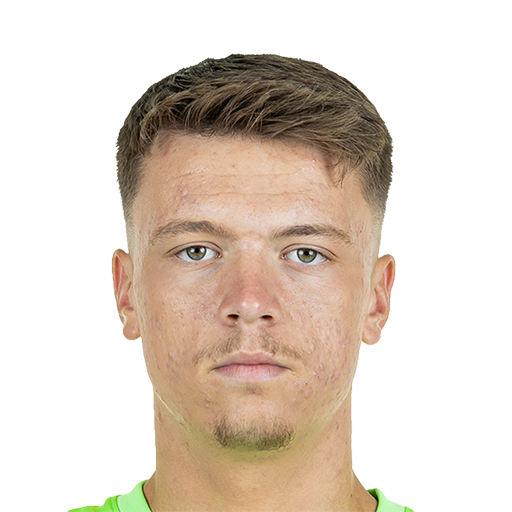 FC 25 Dzenan Pejcinovic Face