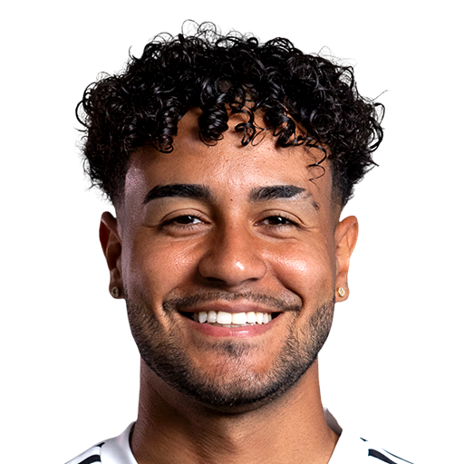 FC 25 Rafael Brito Face