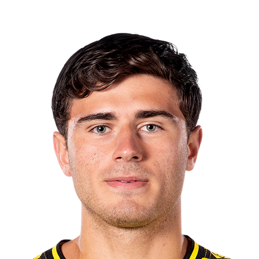 FC 25 Besfort Zeneli Face