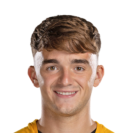 FC 25  Face