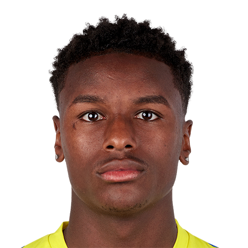 FC 25 Rafael Fernandes Face