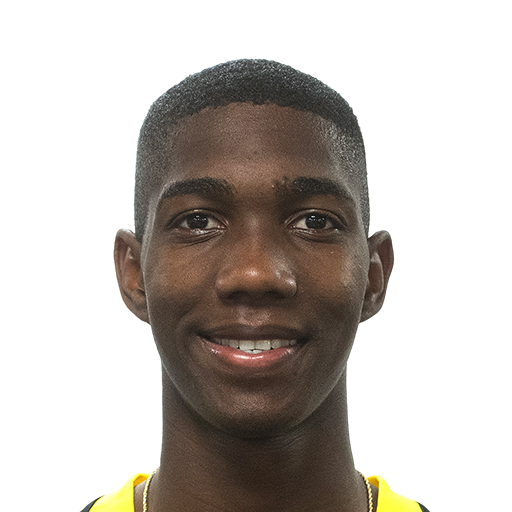 FC 25 Face