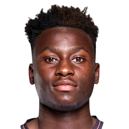 FC 25 Face