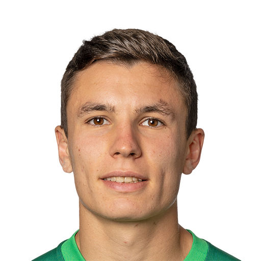 FC 25 Mattia Zanotti Face
