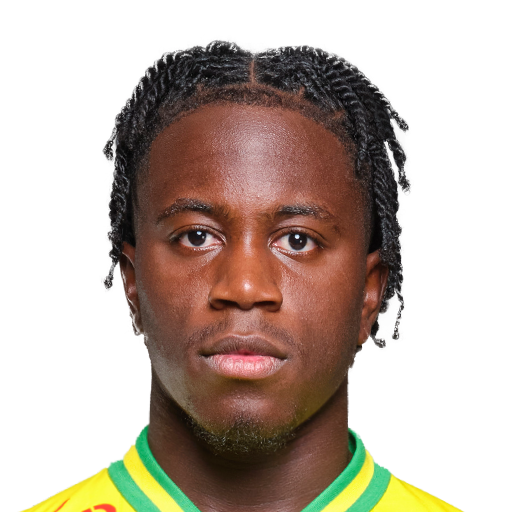 FC 25 Face