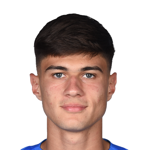 FC 25 Face