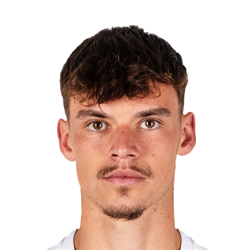 FC 25 Lukas Ambros Face