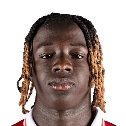 FC 25 Face