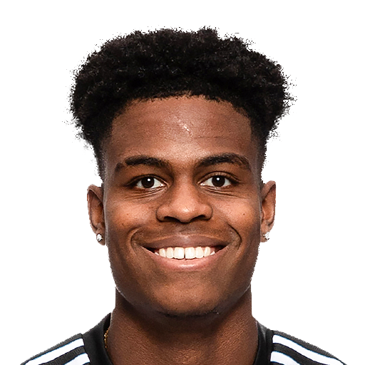 FC 25 Face