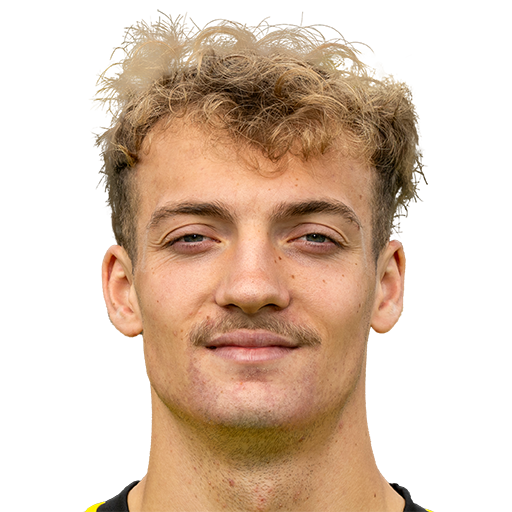 FC 25 Yannik Luhrs Face