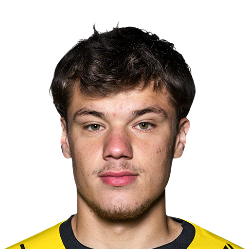 FC 25  Face