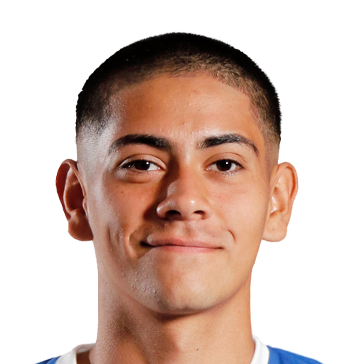 FC 25 Mateo Mendoza Face