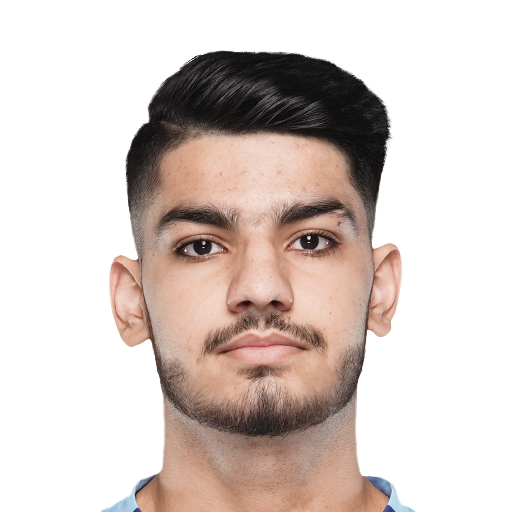 FC 25  Face