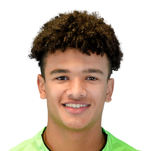 FC 25 Pierce Charles Face
