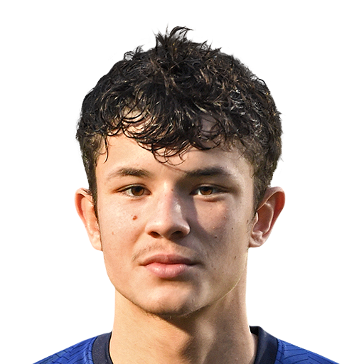 FC 25 Face