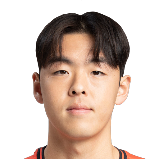 FC 25  Face