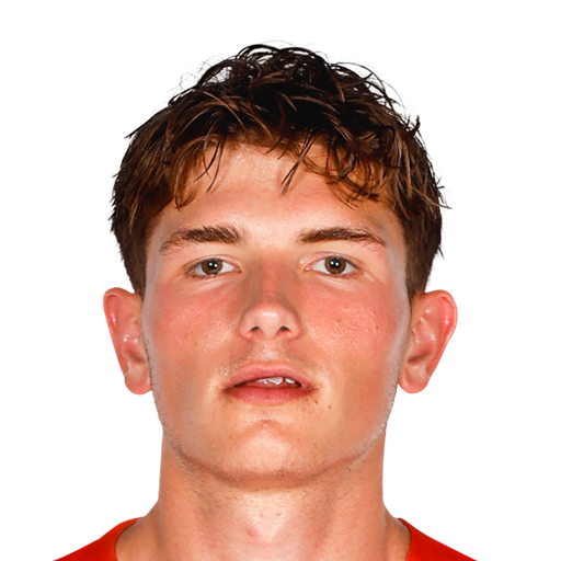 FC 25 Lewis Schouten Face
