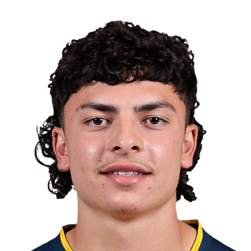 FC 25 Face