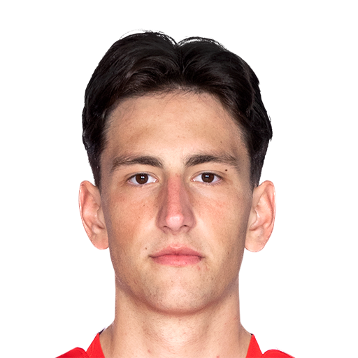 FC 25 David Tufekcic Face