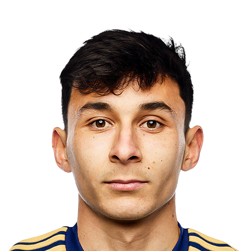 FC 25 Face