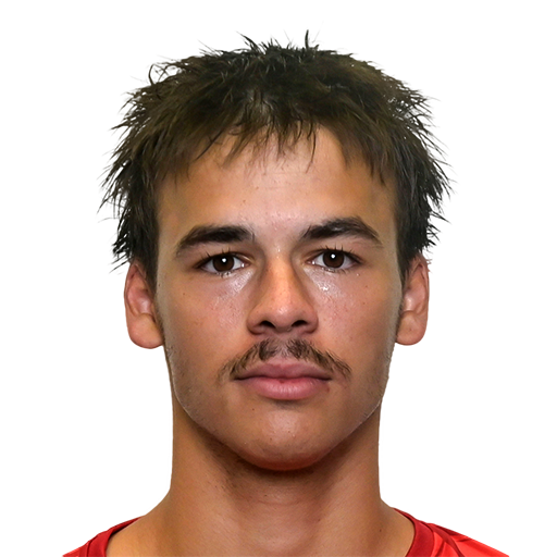 FC 25 Face