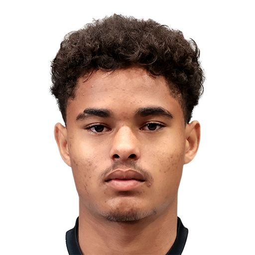 FC 25 Joel Anker Face