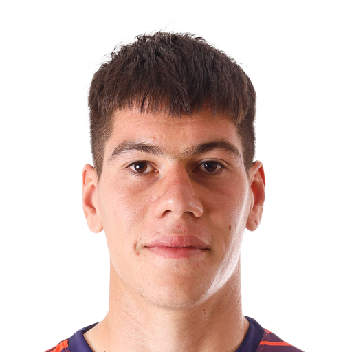 FC 25 Face