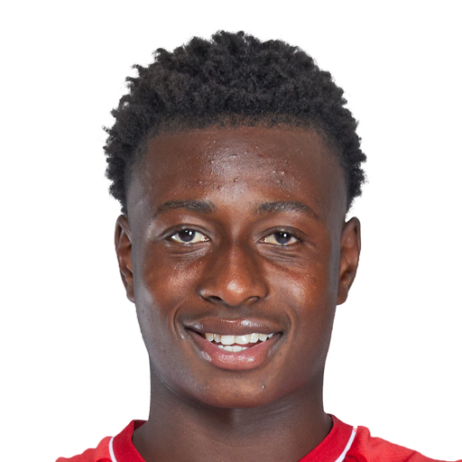 FC 25 Mamadou Diakhon Face
