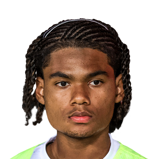 FC 25  Face