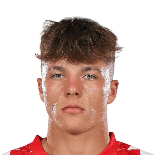 FC 25 Filip Rozga Face