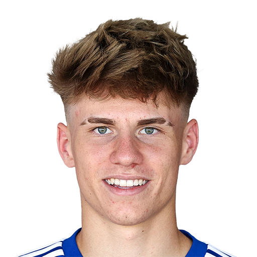 FC 25 Matthias Postl Face