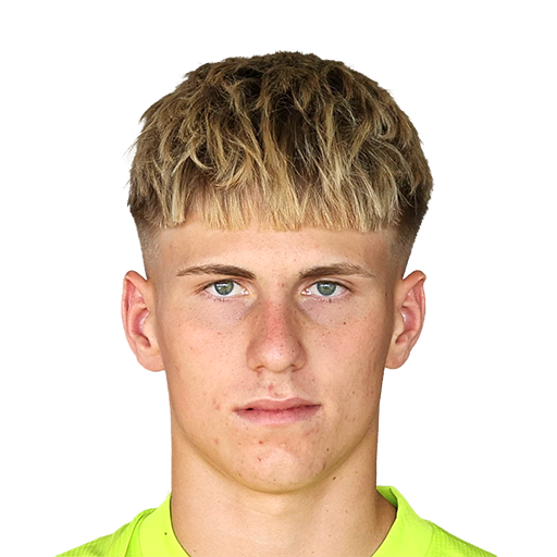 FC 25 Face