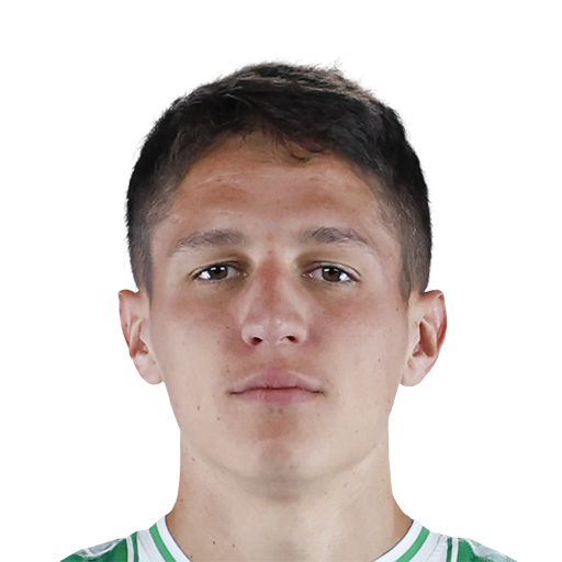 FC 25 Face