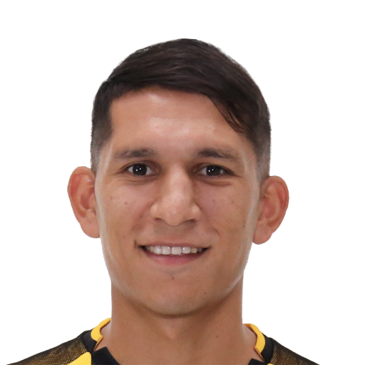 FC 25 Face