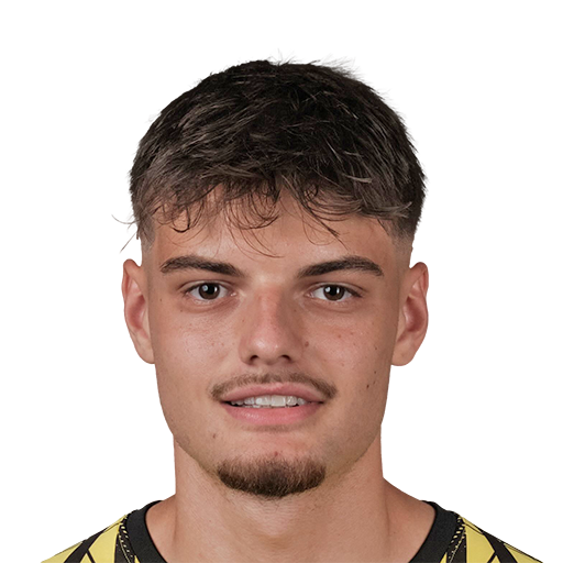 FC 25 Malwin Zok Face