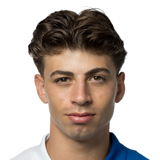 FC 25 Face