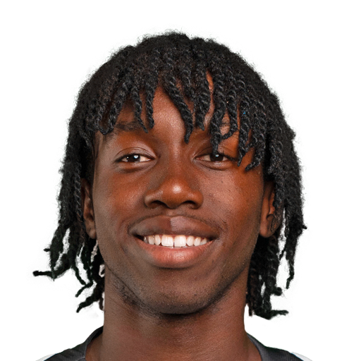 FC 25 Face