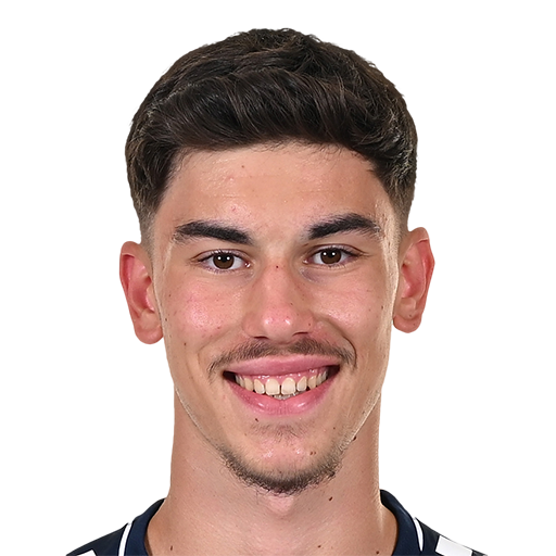 FC 25 Noah Brdar Face
