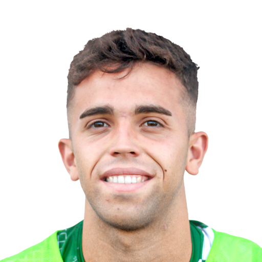 FC 25 Face