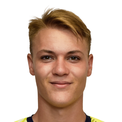 FC 25 Face