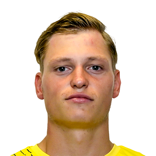 FC 25 Fabian Scherger Face