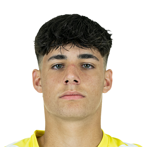 FC 25 Face