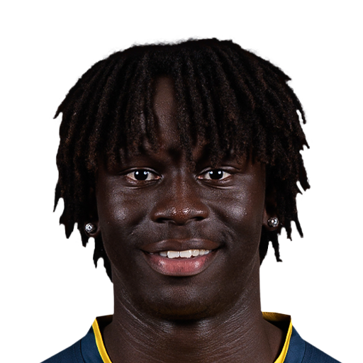 FC 25 Face