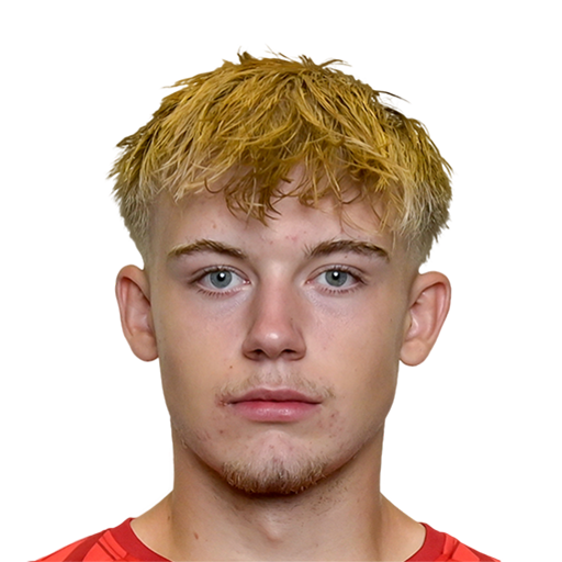 FC 25 Face