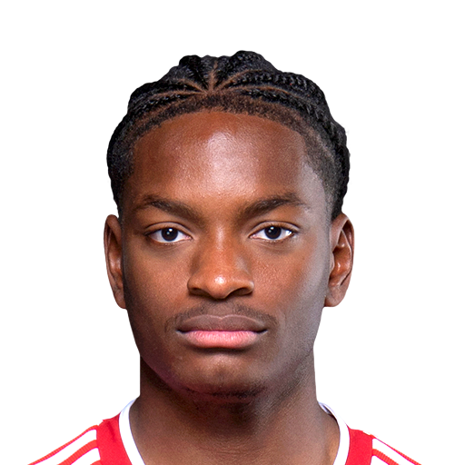 FC 25  Face