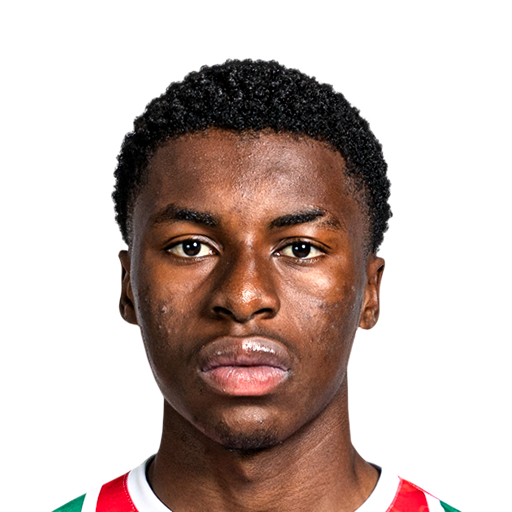 FC 25  Face