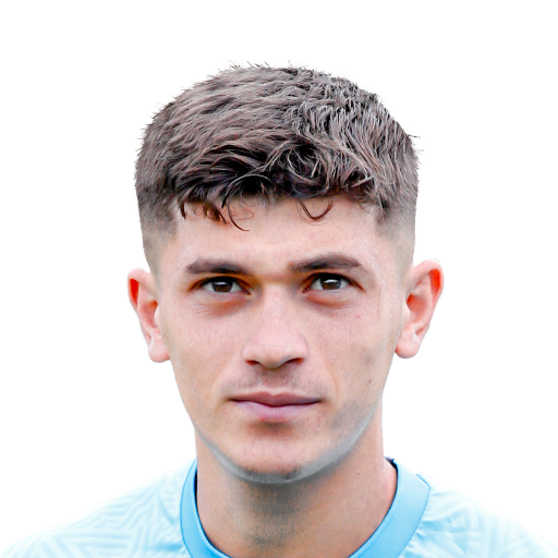 FC 25 Face