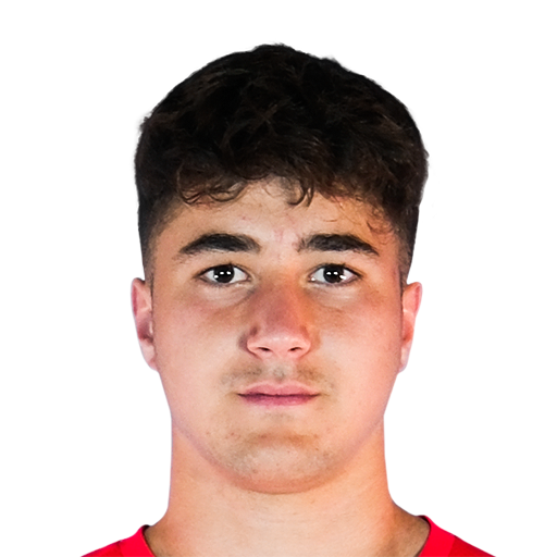 FC 25 Deniz Ertas Face